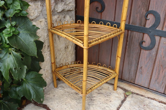 Image 1 of Rotan hoekplank van Franco Albini, jaren 60