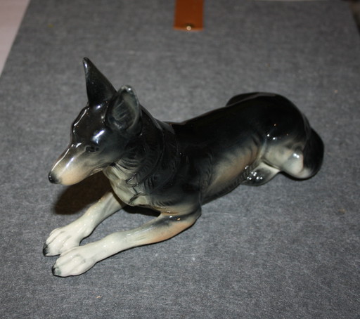 Chien berger de Cortendorf - Grand, Couché (22 cm x 13 cm)