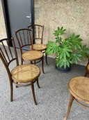 6 Thonet-Stühle, frühes 20. Jahrhundert