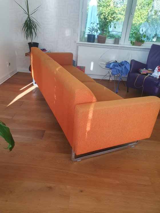 Divano Artifort – Divani, Textile, polished steel (photo 4 of 5)