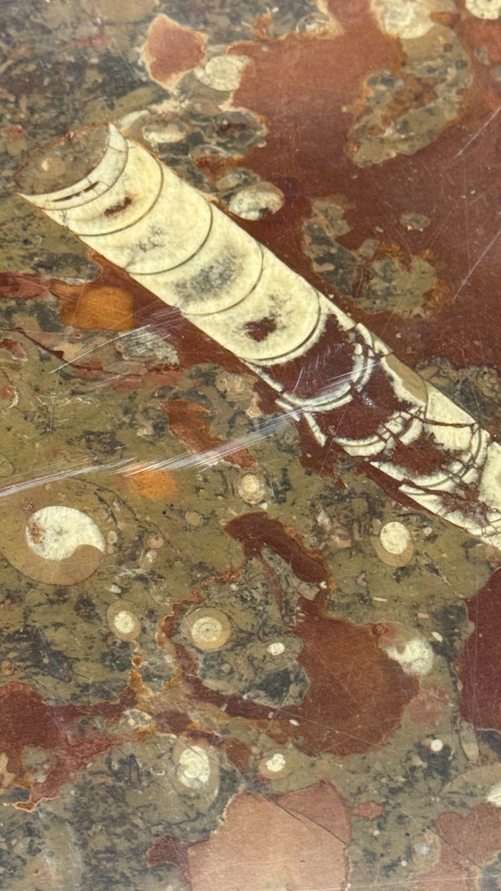 Image 1 of Mesa de centro Fossil de Ronald Schmit (mármol)