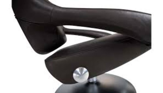 Image 1 of Sillón giratorio De Sede DS 255 de Thomas Althaus, Suiza, 2000.