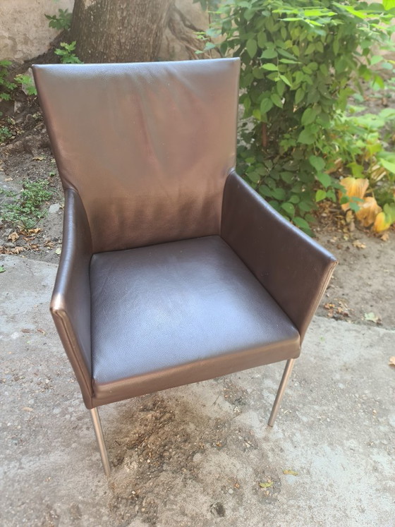 4 sedie Bert Plantagie ARC-E - Pelle marrone scuro – Sedie da pranzo, Leather, Metal (photo 5 of 5)