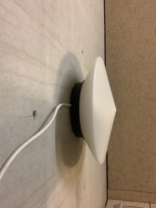 Discus van Raak Amsterdam B- 1411