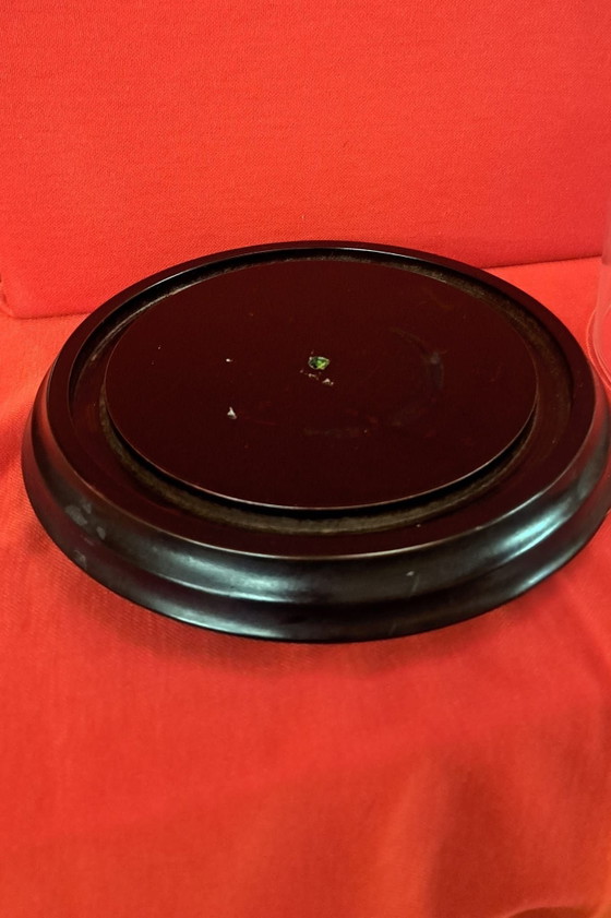 Campana di vetro, Oggetti decorativi, Legno, Nero (foto 4 di 5)