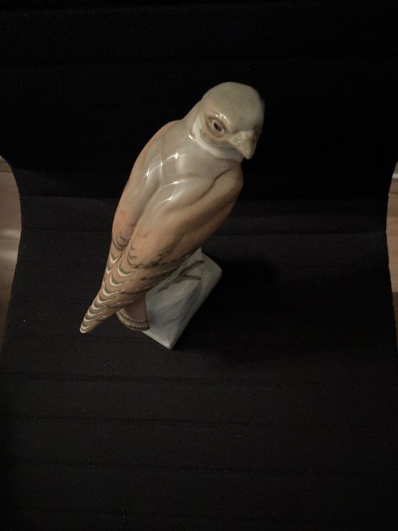 Image 1 of Very beautiful Falcon '