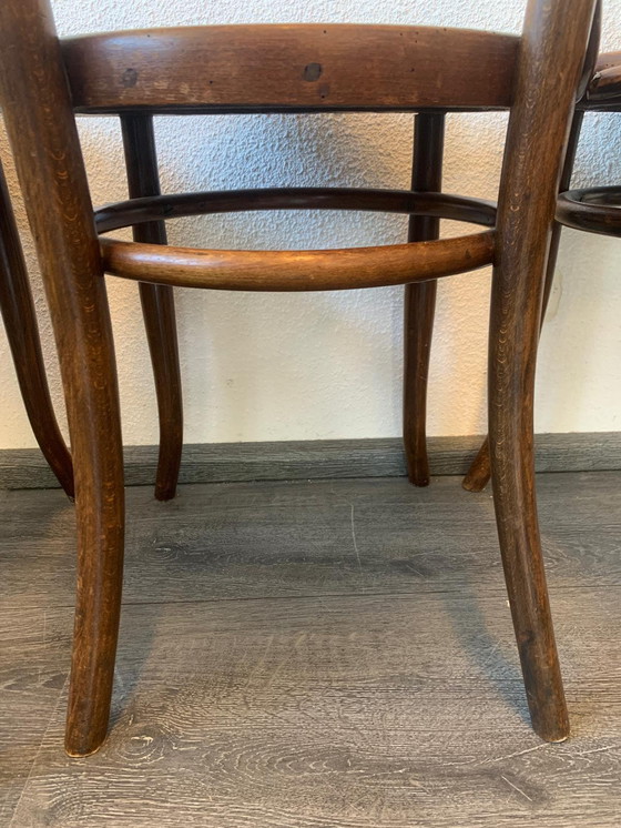 Image 1 of 4 sillas Thonet de los años 1920/1930 MUNDUS Viena