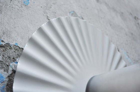 Image 1 of Flos plisado