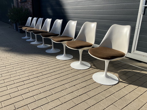 8x original Knoll Tulip dining chairs Eero Saarinen