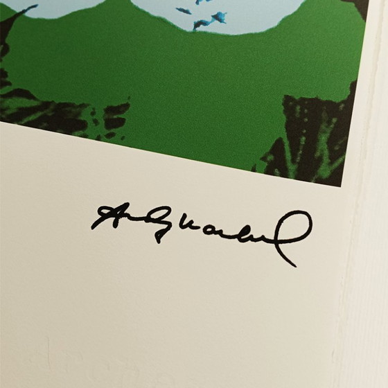 Image 1 of 1980s Andy Warhol "Flowers" Limited Series Lithograph - Leo Castelli - New York - Numbered in Pencil.
