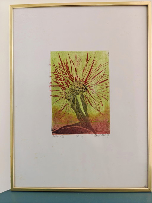 INANKIRA (Harry Ravers, 1951) — "Willow" — Materialdruck, 1999