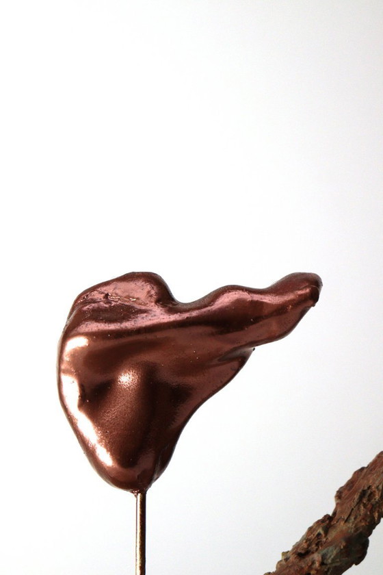 Image 1 of Balance Circle of Nature