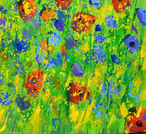 Image 1 of Red poppies, blue cornflowers
