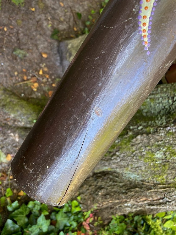 Vecchio Didgeridoo in legno con pittura Aborigena Serpente e Tartaruga, Oggetti decorativi, Nero, Opknappers (foto 6 di 13)