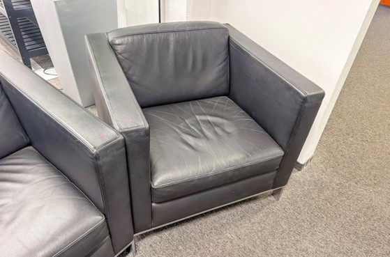 Poltrone, Pelle Nera, Walter Knoll, polished steel, Nero, Modern (foto 2 di 5)