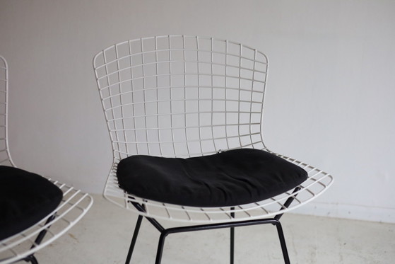 Set di 2 sedie Wire vintage 420, Harry Bertoia – Knoll, Sedie da pranzo, Ferro (photo 3 of 5)