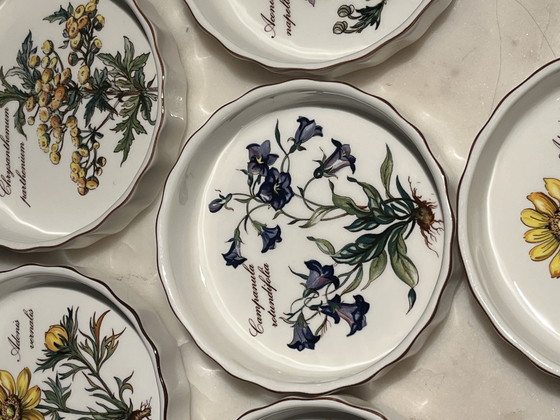 Image 1 of Juego (6) cuencos Villeroy & Boch Vilbofour Botanica