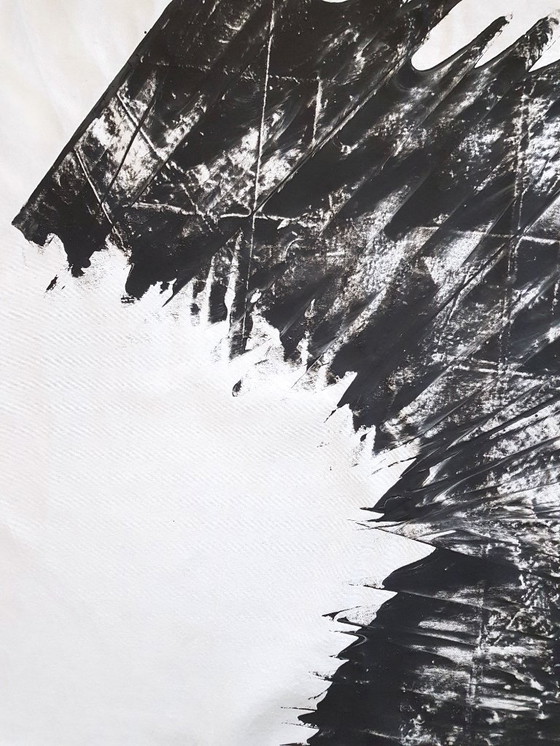 Image 1 of Jürgen Angeler - Zwarte Zilveren Sikkel