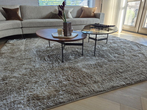 Van Besouw 2310-040 tapis élégant, polyester beige