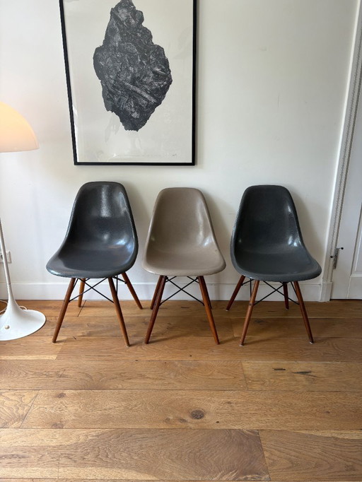 3 Vintage Eames DSW Fiberglass Chairs (Herman Miller) - Elephant Grey & Greige - Walnut Base