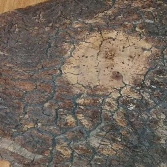 Image 1 of Vassoio/vassoio in sughero vintage per catering/cucina di catering