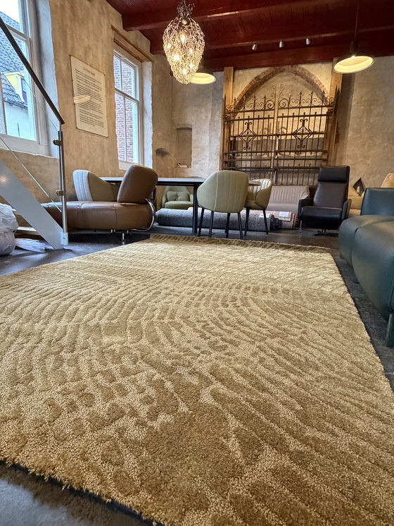 Image 1 of Brink en Campman tapijt Twinset Gold NIEUW 