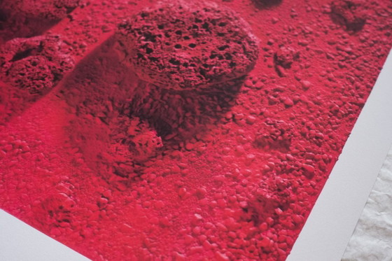 Yves Klein Relief-Éponge Rose (RE 26), 1960 - Poster 50×70 Cm – Affiches, Paper (photo 10 of 13)