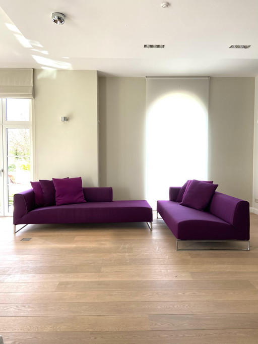 B&B Italia Solo 14 Paars Modulaire Sofa