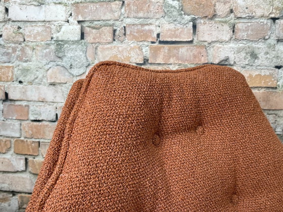 Image 1 of Artifort F588 Terra