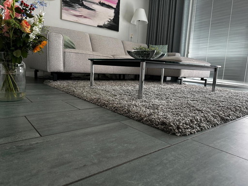 Tapis Twilight, Eurogros