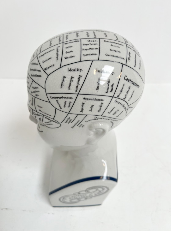 Image 1 of Testa frenologica in ceramica alta 30 cm, anni '90