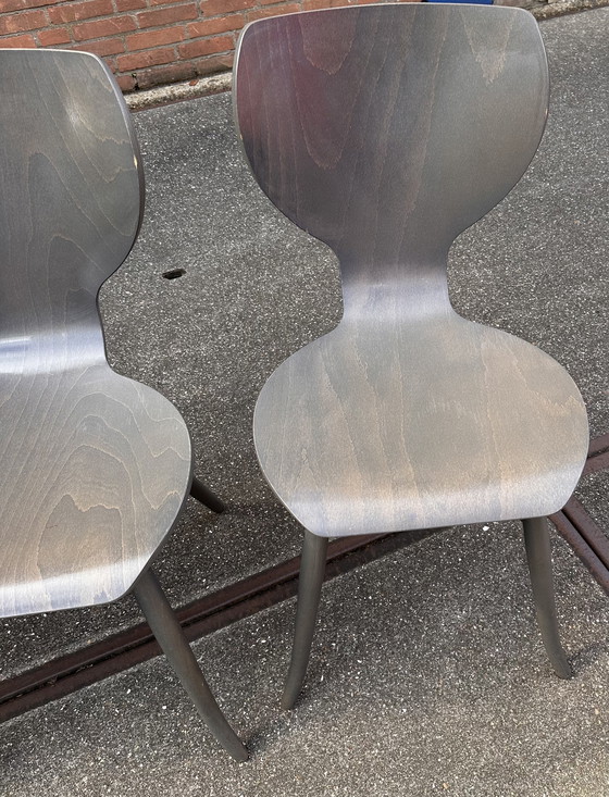 Image 1 of 5x Linteloo Tulipani design eetkamerstoelen 