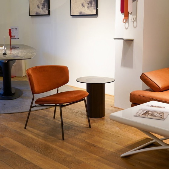 Image 1 of Poltrona Calligaris Fifties Lounge | Velluto | Modello da esposizione