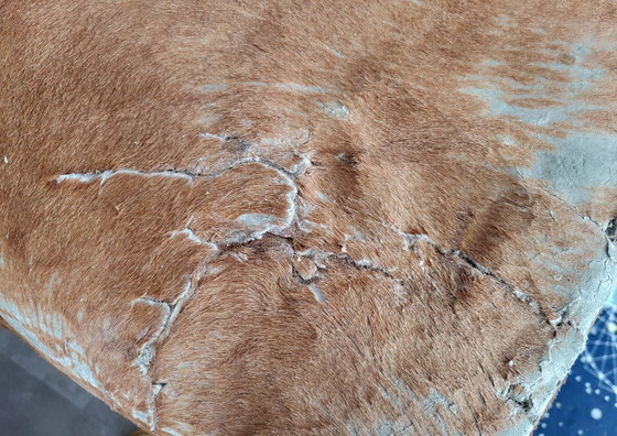 Image 1 of LC4 Chaise Lonque Figli di Amedeo | Cassina | 1e editie