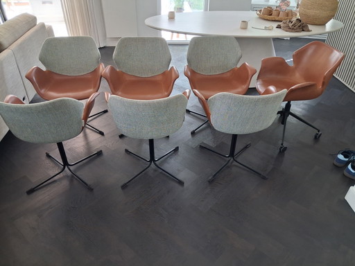 6 x ZUIVER Esszimmerstühle