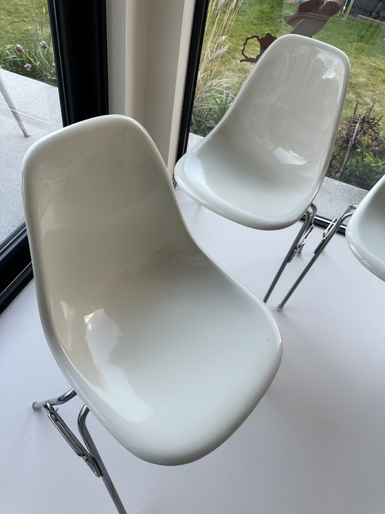 Image 1 of 6x Herman miller Eames DSR Fiberglass kuip stoelen stapelbaar