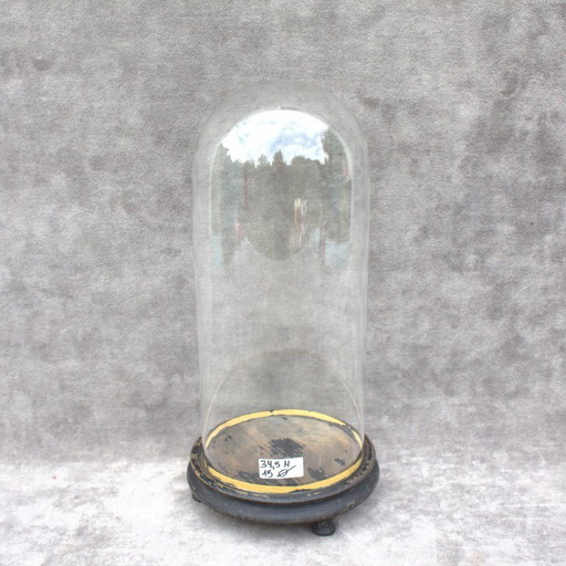 Antique round French Glass dome 13. 58 x 5.91 inch bell jar 34,5 x 15 cm Victorian era cloche taxidermy steampunk Display mouth 