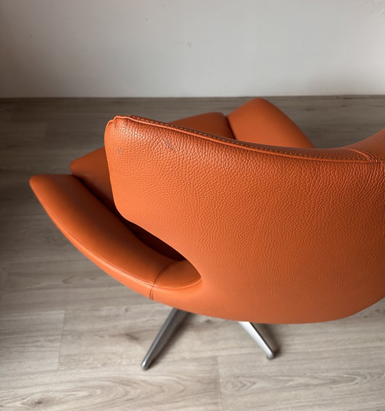 Image 1 of Leolux Caruzzo Basic design fauteuil