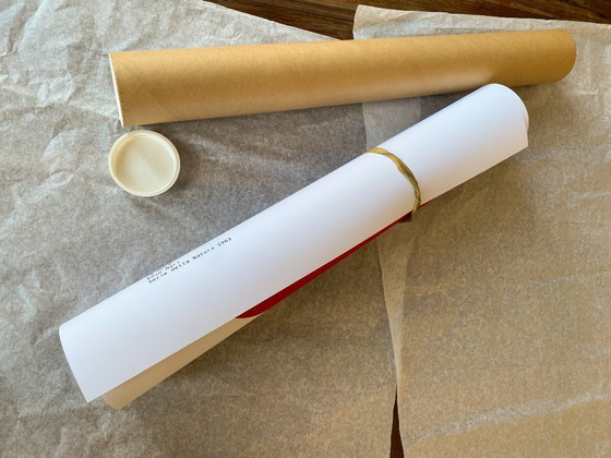 Image 1 of LA MELA Enzo Mari - Serie della Natura 1963 - Poster 50 x 70 cm