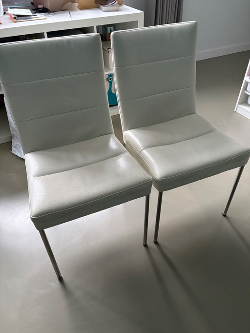 Bert Plantagie dining room chairs