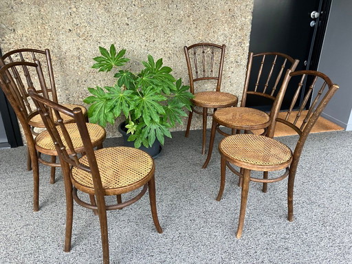 6 sillas Thonet, principios del siglo XX.