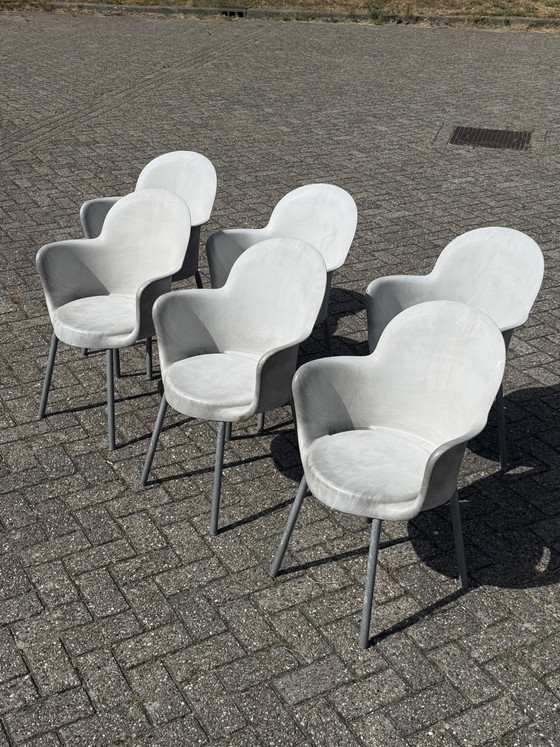 Image 1 of 6x Marcello Ziliane Sinesto Gogo chair