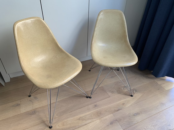 Image 1 of 2 chaises d'appoint Eames Miller DSR en fibre de verre – parchemin foncé