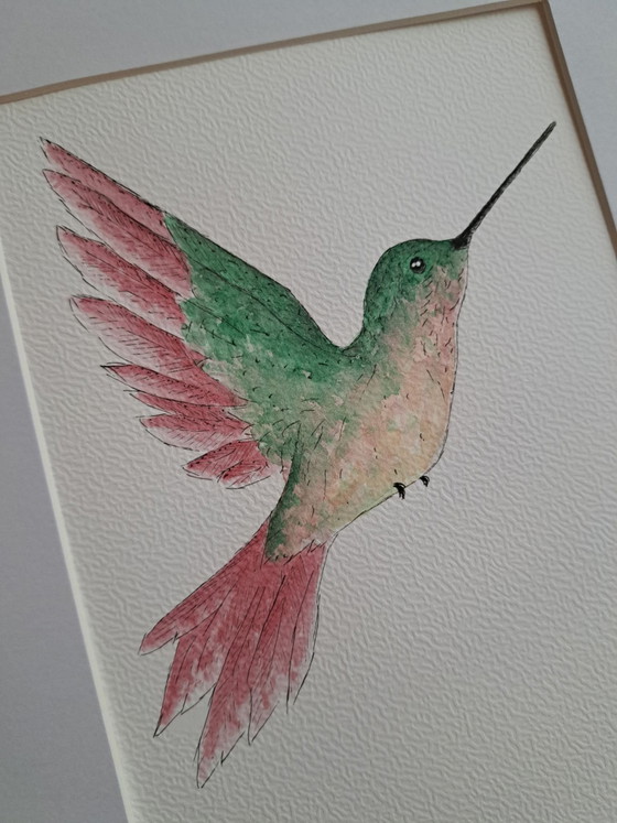 Pittura acquerello originale colibrì | Con cornice, Dipinti e disegni, Carta, Crema (foto 3 di 5)