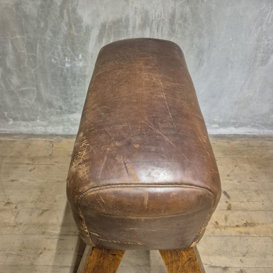 Image 1 of Vintage turnpaard, Tsjecho-Slowakije, jaren 60