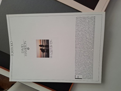 Portfolio David Hamilton - Le Galet Blanc