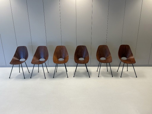 Vintage Medea chairs by Vittorio Nobili for Fratelli Tagliabue (Set of 6)