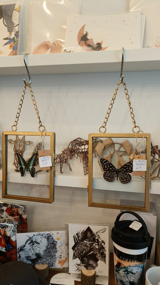 Image 1 of Goudkleurige kader met opgezette vlinder (taxidermie)