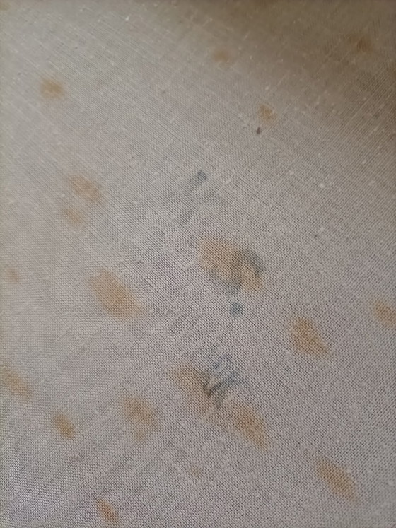 Image 1 of Chaises vintage Kai Kristiansen