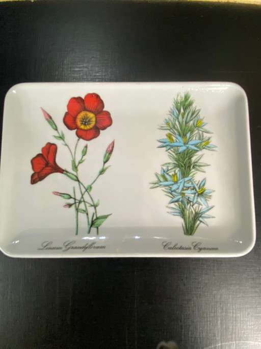 White melamine catchall with botanical decor – Linum and Calotasia – Mebel Italy, 1960s-1970s – decoratieve objecten